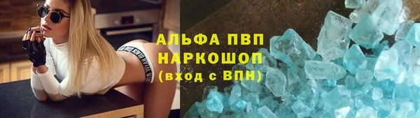 ешки Белокуриха