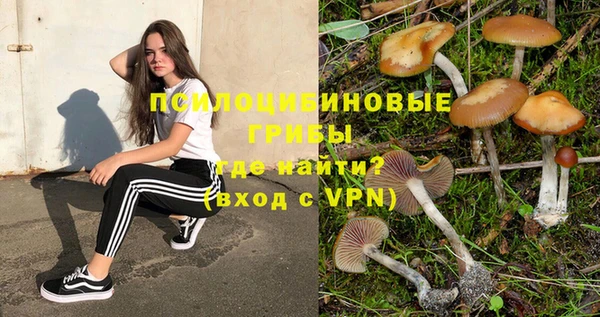 эйфоретик Балахна