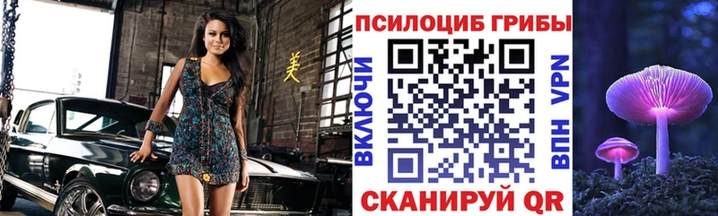 Псилоцибиновые грибы мухоморы  blacksprut зеркало  Курильск  что такое наркотик 